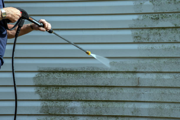 Best Patio and Deck Pressure Washing  in Cordova, AK
